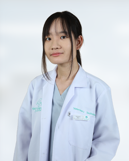 Dr. Danit Vorasaran
