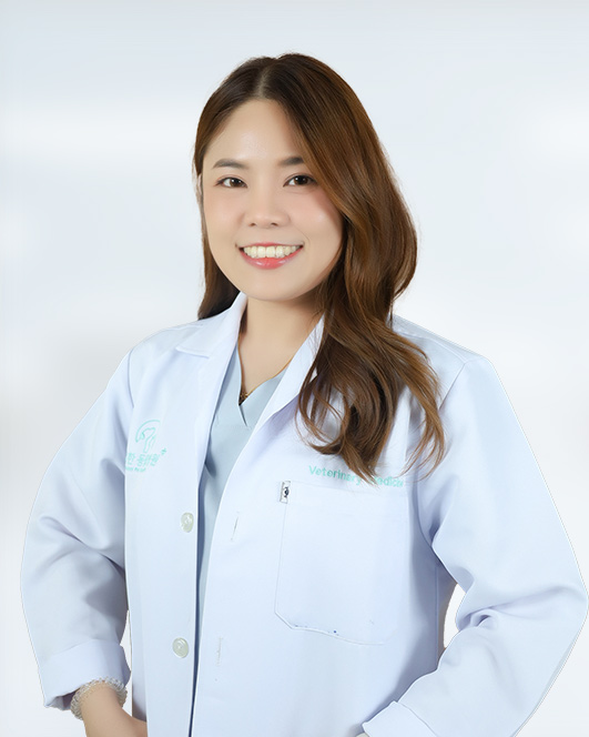 Dr. Nichamon Zuedee
