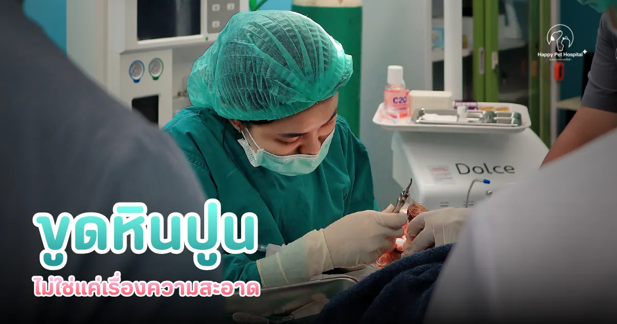 ขูดหินปูน ไม่ใช่แค่เรื่องความสะอาด