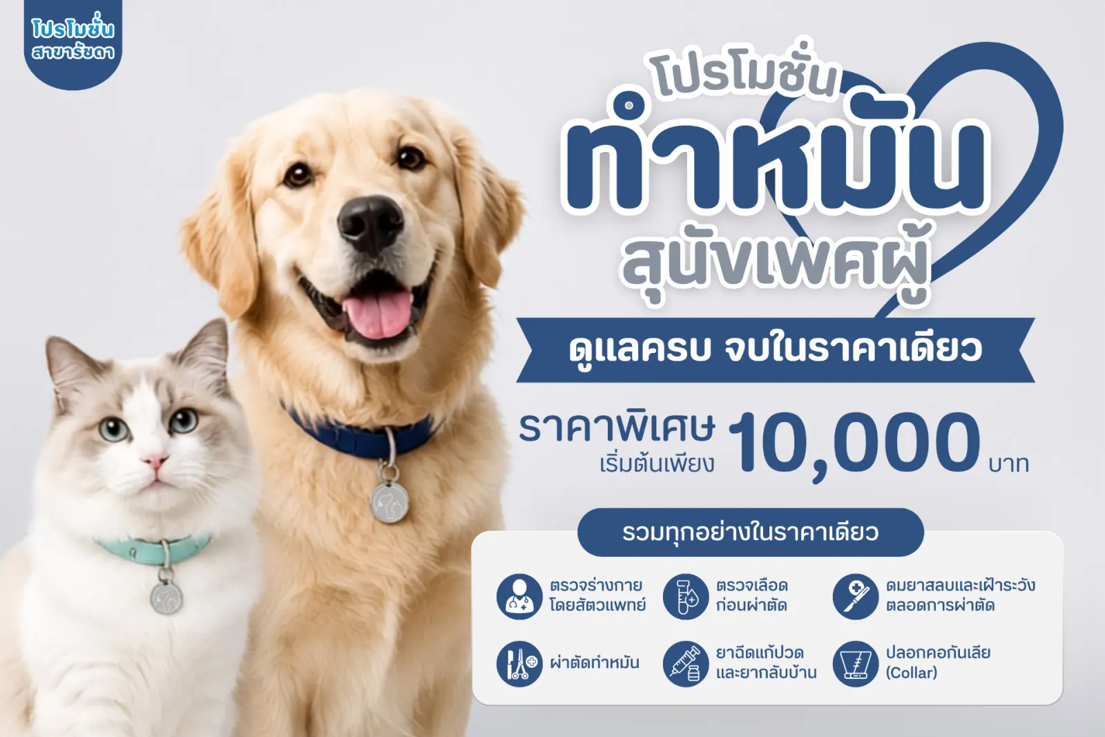 แพ็กเกจทำหมันครบวงจร ราคาเริ่มต้น 10,000 บาท
