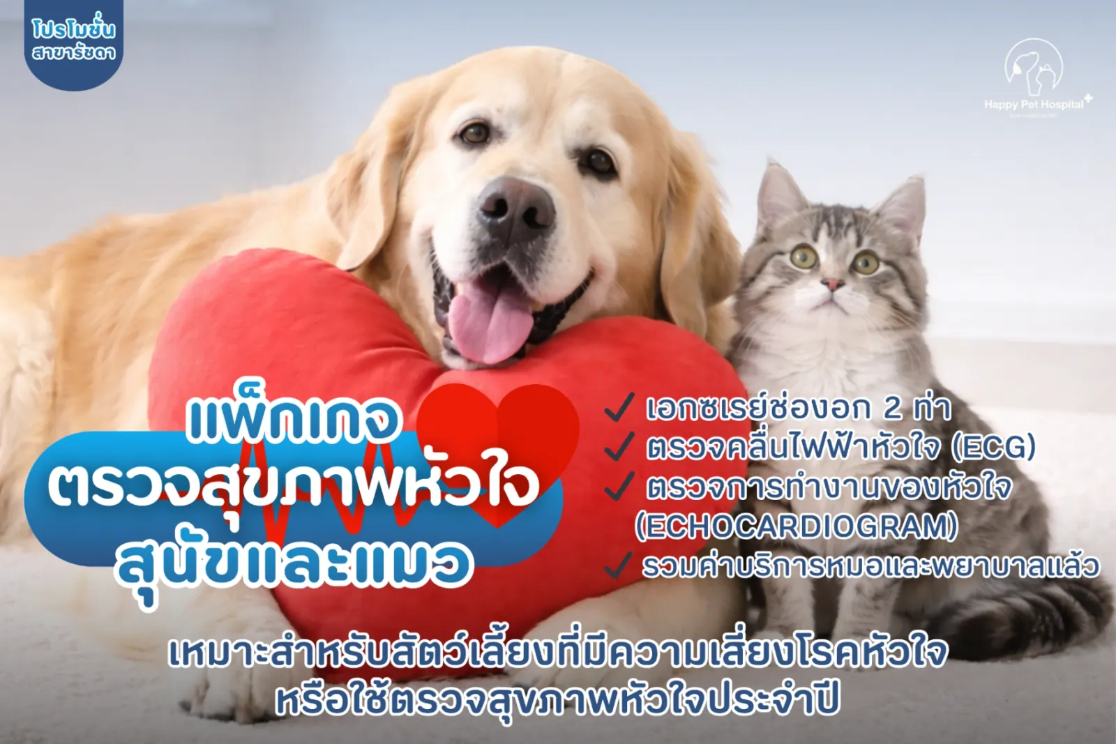 แพ็กเกจตรวจหัวใจ