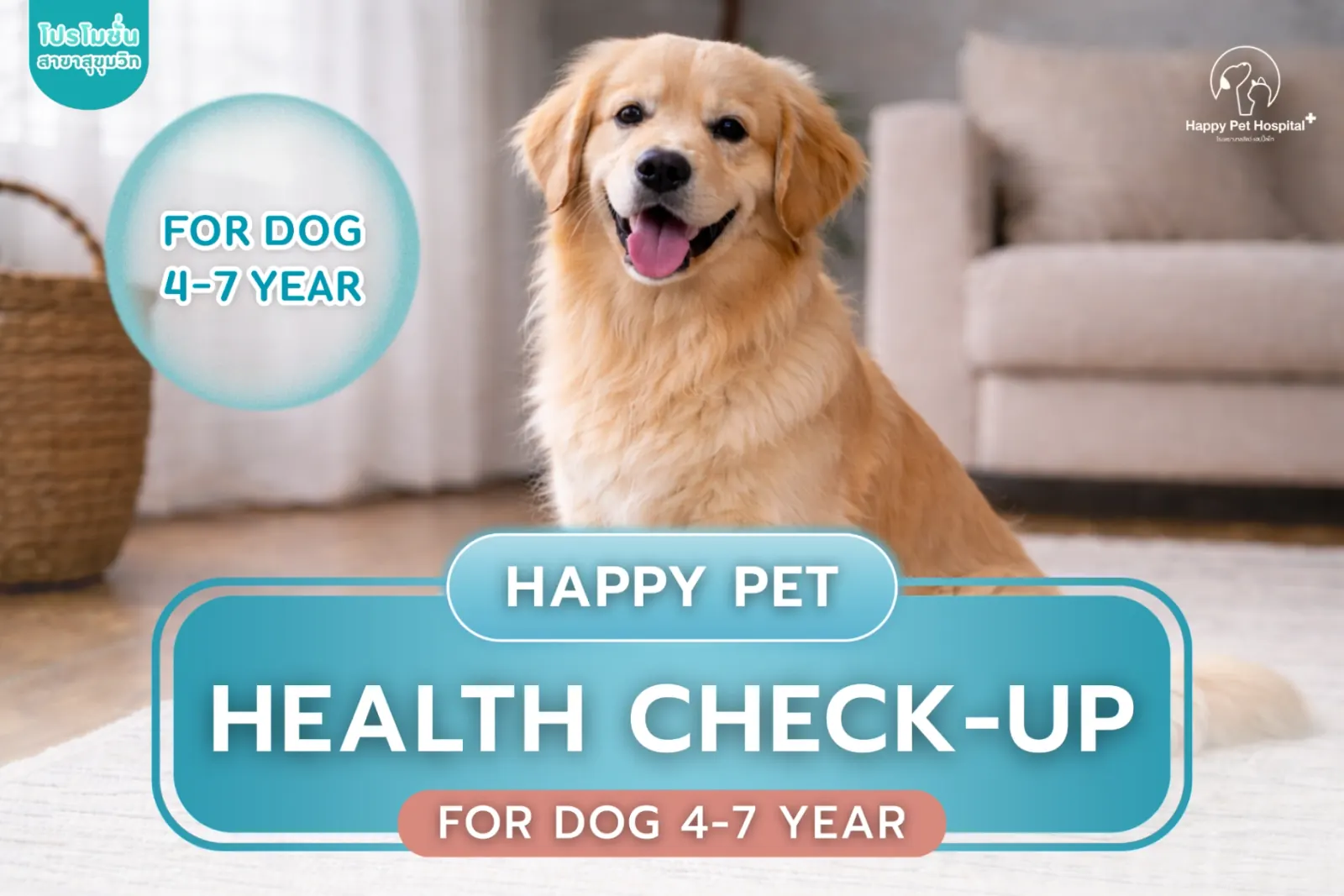 Health check for dogs aged 4–7 years