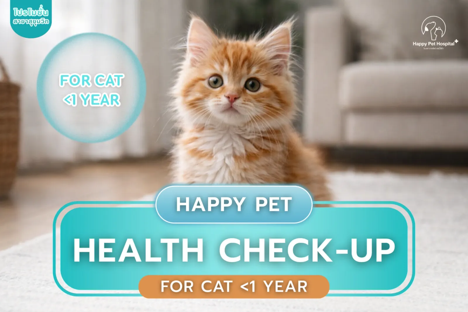 Health check for cats under 1 year old