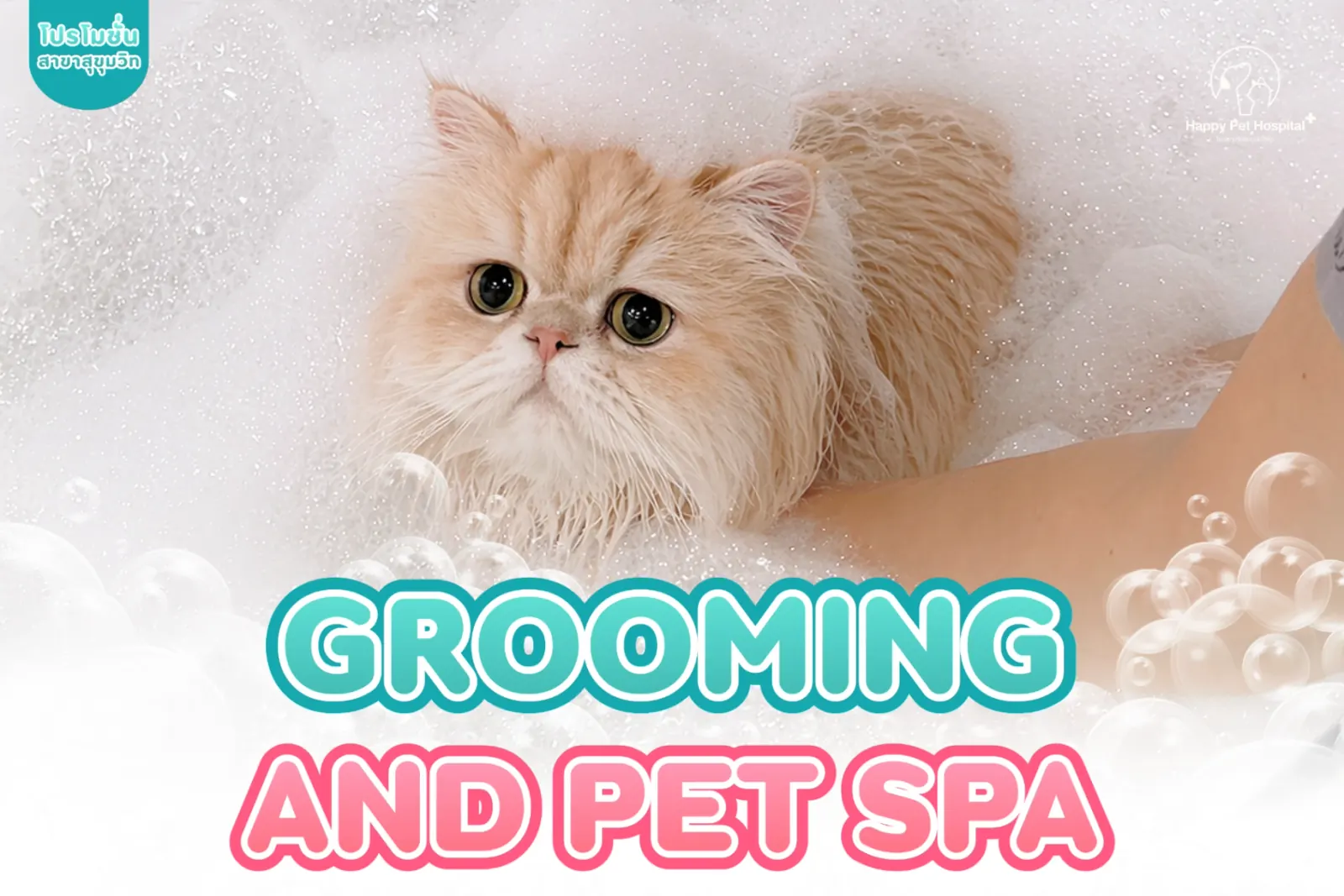 บริการ Grooming & Pet Spa ครบวงจร