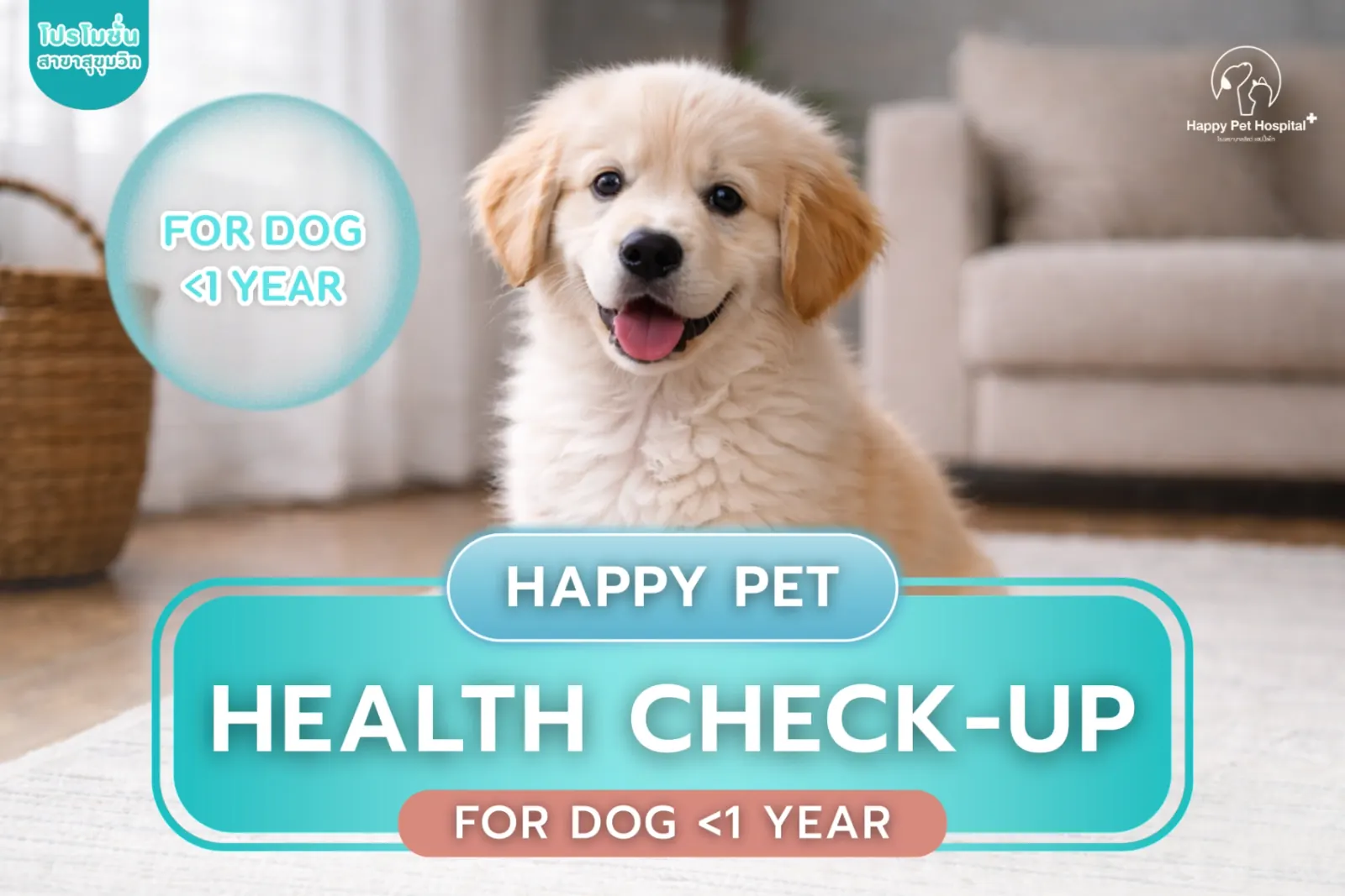 Health check for dogs under 1 year old