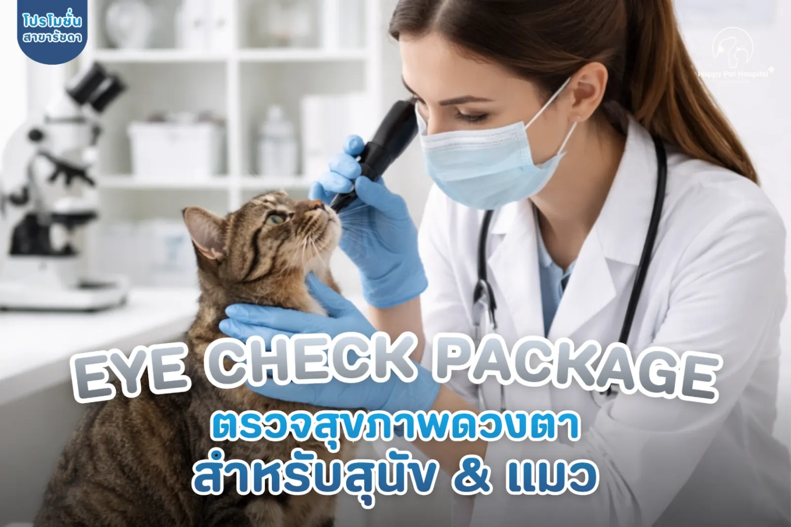 แพ็กเกจตรวจตา ตรวจครบจบในครั้งเดียว