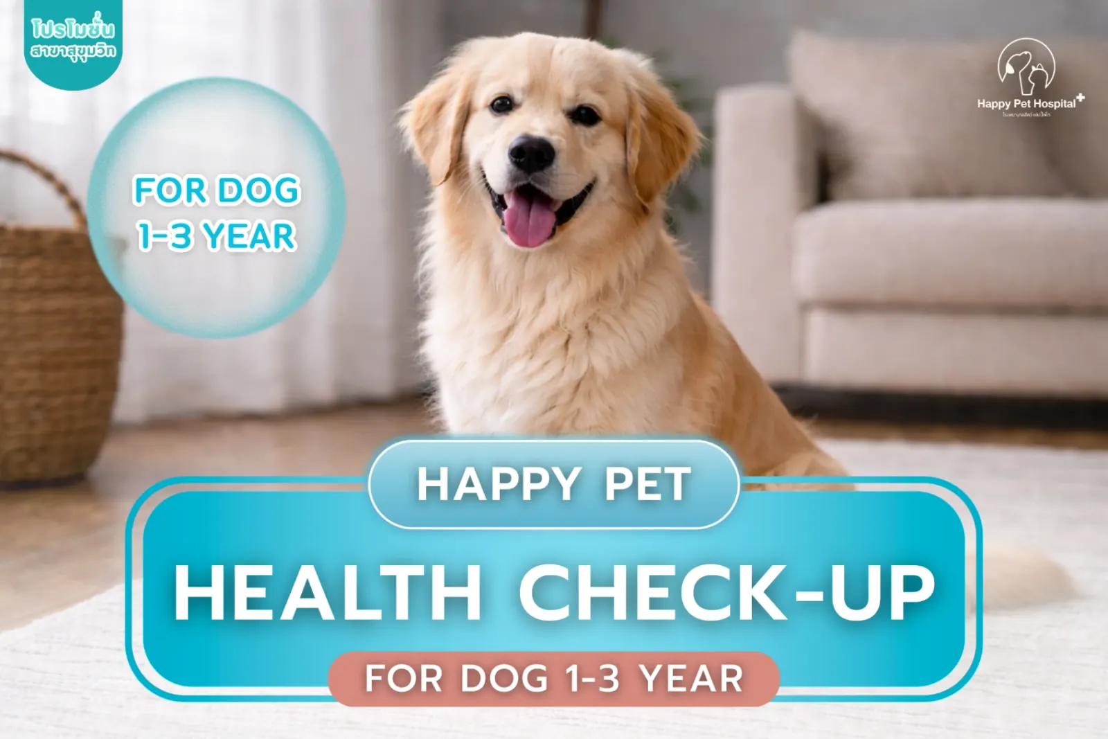 Health check for dogs aged 1–3 years
