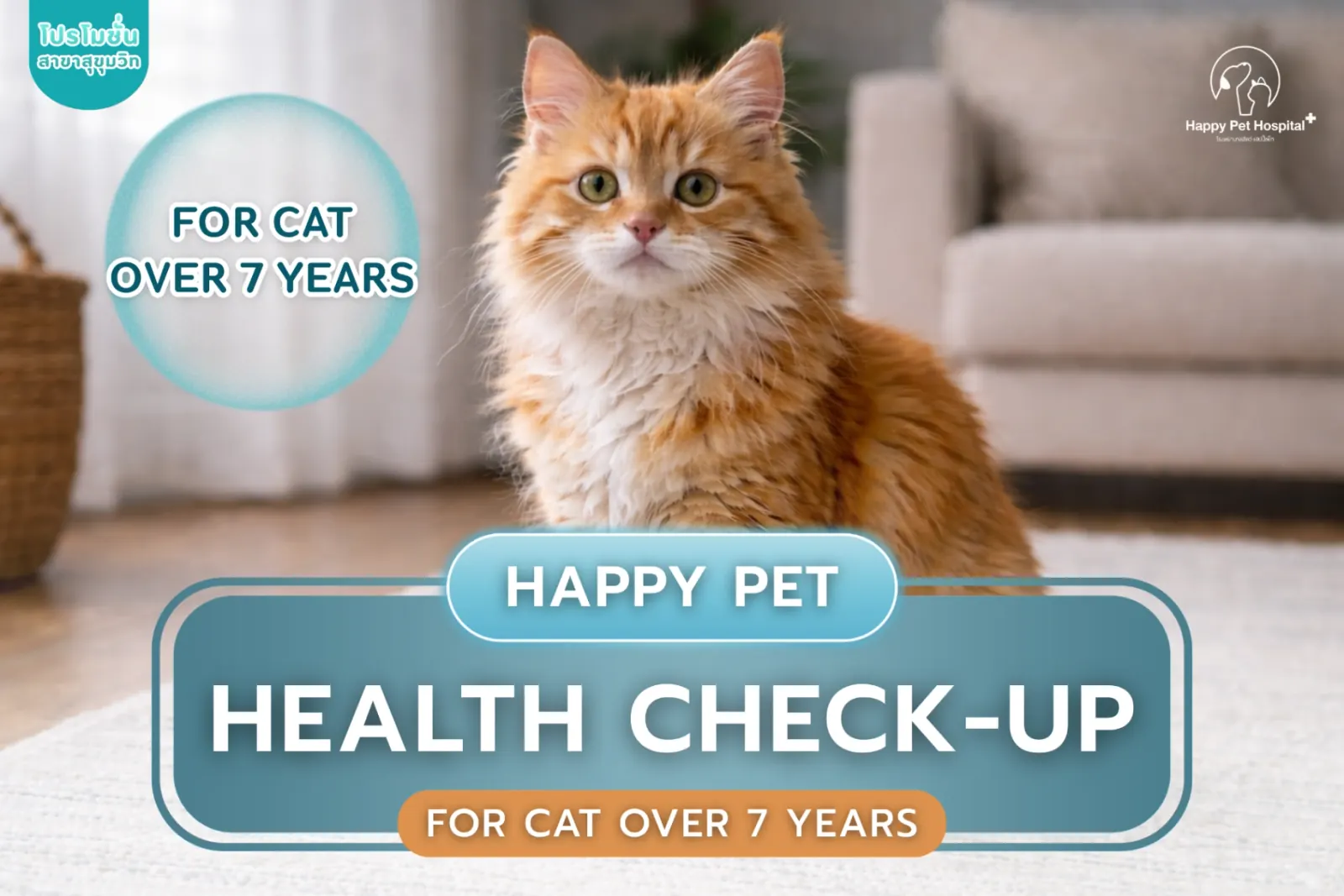 Health check for cats over 7 years old