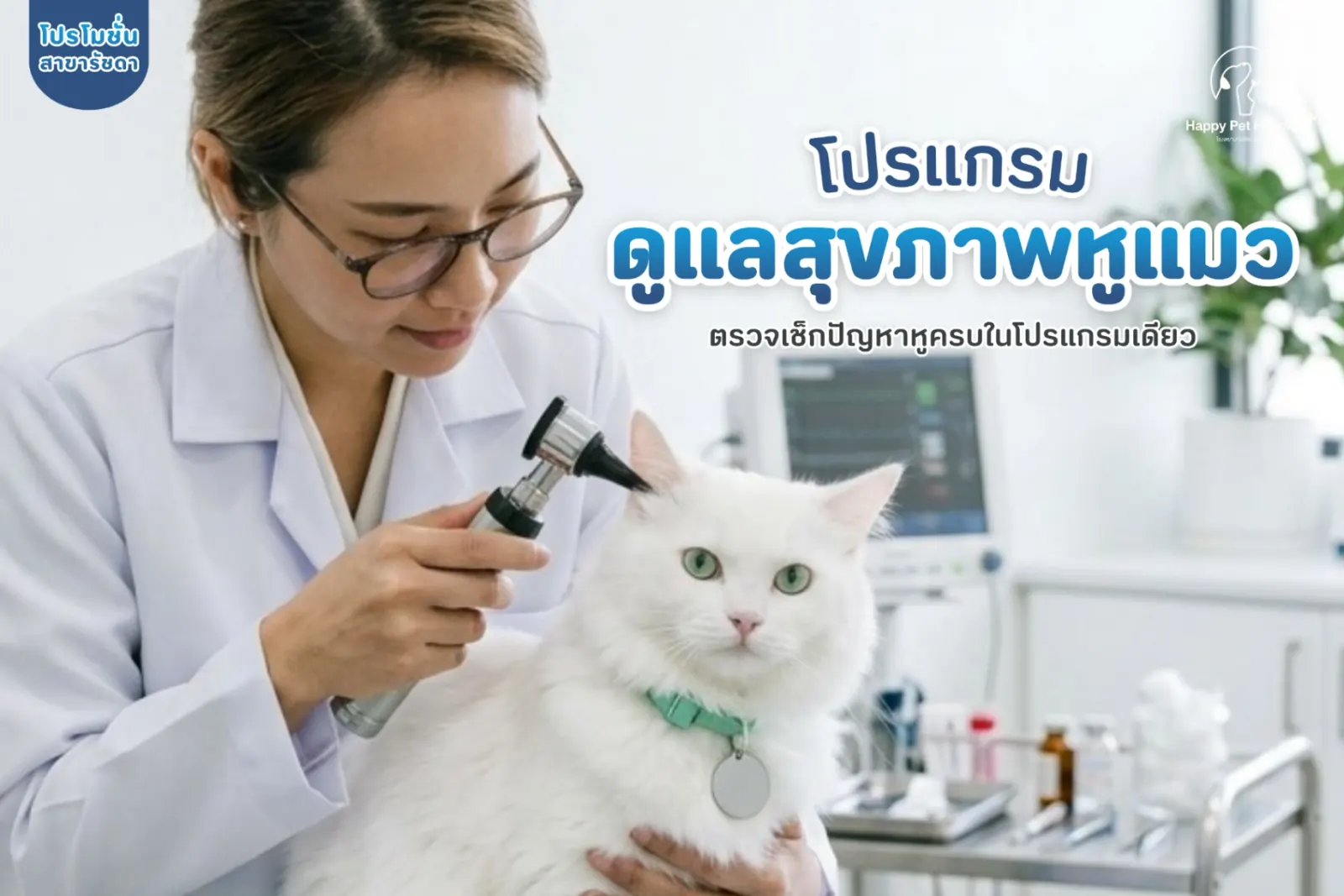 โปรแกรมดูแลสุขภาพหูแมว