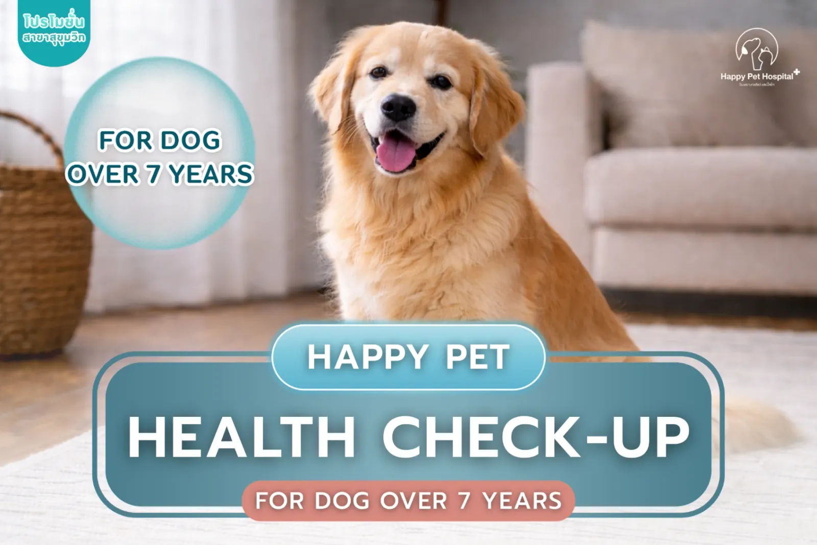 Health check for dogs over 7 years old
